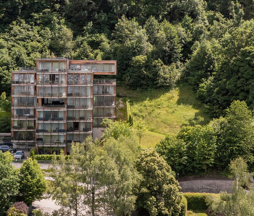 Residence Bellevue by Alpin Rentals in Zell am See